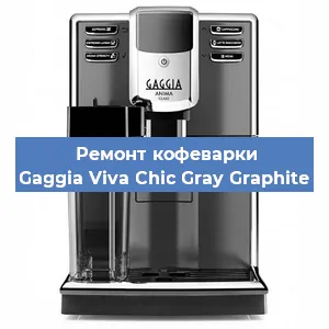 Чистка кофемашины Gaggia Viva Chic Gray Graphite от накипи в Новосибирске